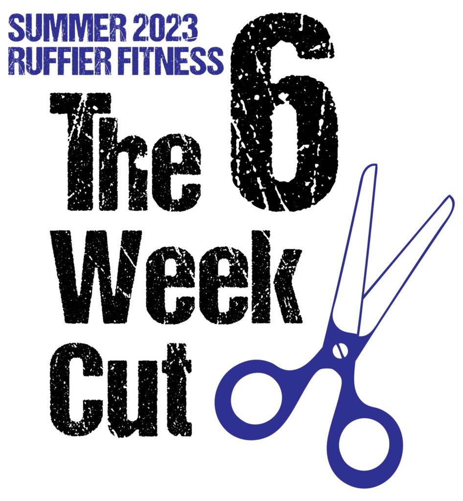 Get fit for summer challenge | 6 week cut